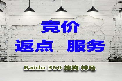 某某SEM服务公司成功案例：从数据出发的营销策略